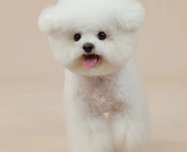 Pet Memorials & Funerary Pet Memorials & Funerary