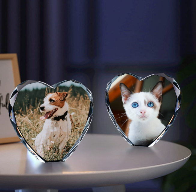 Pet Personalized Colorful 3D Engraved Crystal Photo